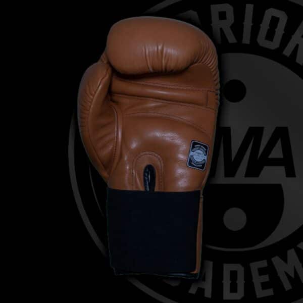 Twins Boxing Gloves Brown