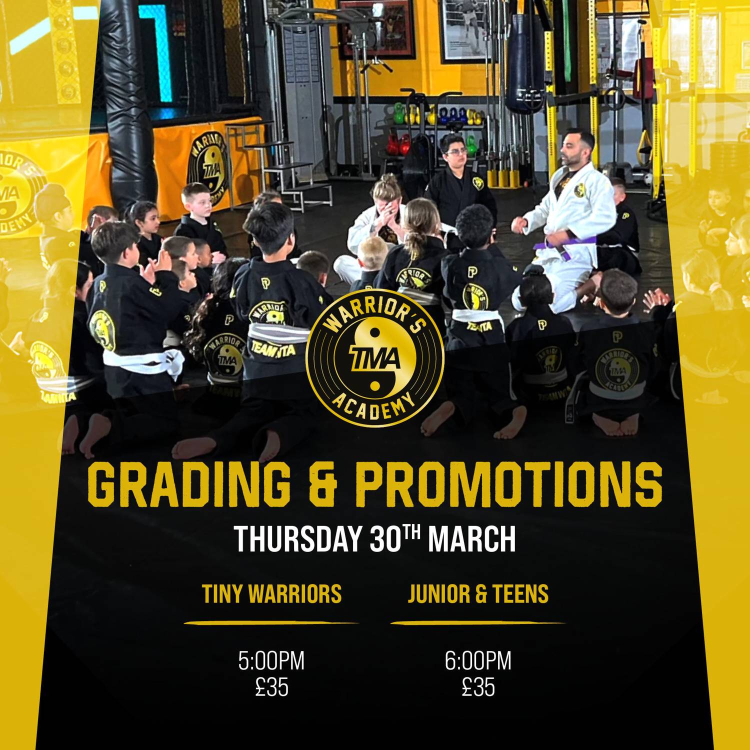 Warriors TMA Academy Grading and Promotions